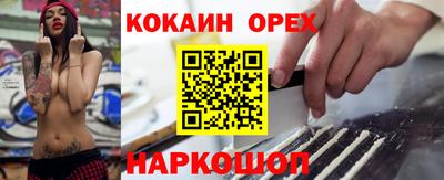 крисы Гагарин