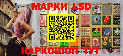 шишки Гай