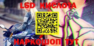 крисы Гагарин