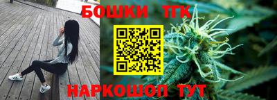 шишки Гай