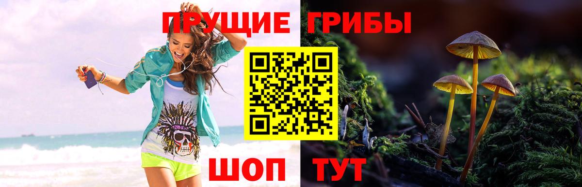 Евпатория  Галлюциногенные грибы MAGIC MUSHROOMS  наркота  Вход с VPN 
